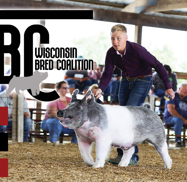 Wisconsin Bred Coalition